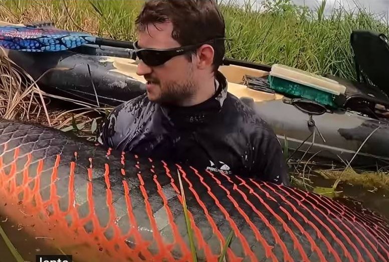 VÍDEO: Pescador fisga pirarucu com mais de 2 metros e 130 quilos em Rondônia