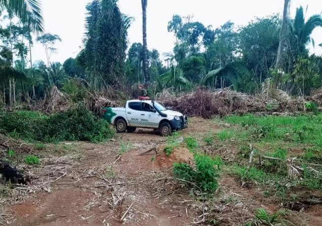 EM ITAPUÃ D’OESTE: Homem desmata 13 hectares de reserva em menos de 1 ano e é multado