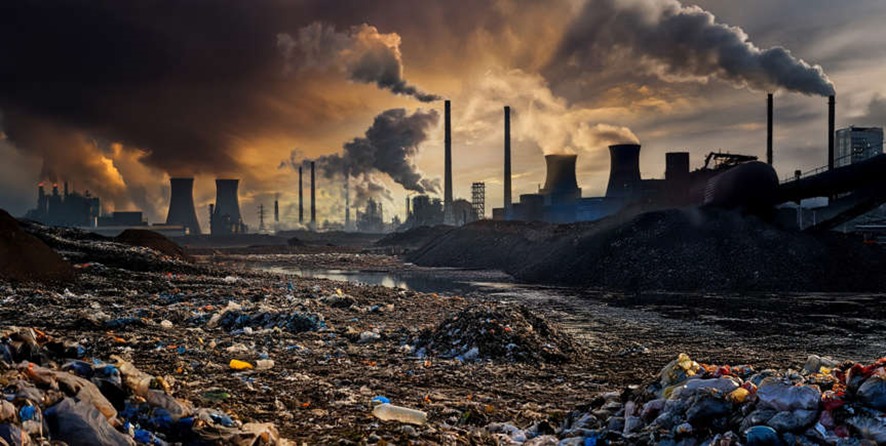 FIM DA TERRA: Cientista acredita que estamos no meio de uma extinção em massa