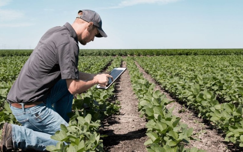 JULHO: Portaria que reconhece a adoção das boas práticas agrícolas entra em vigor