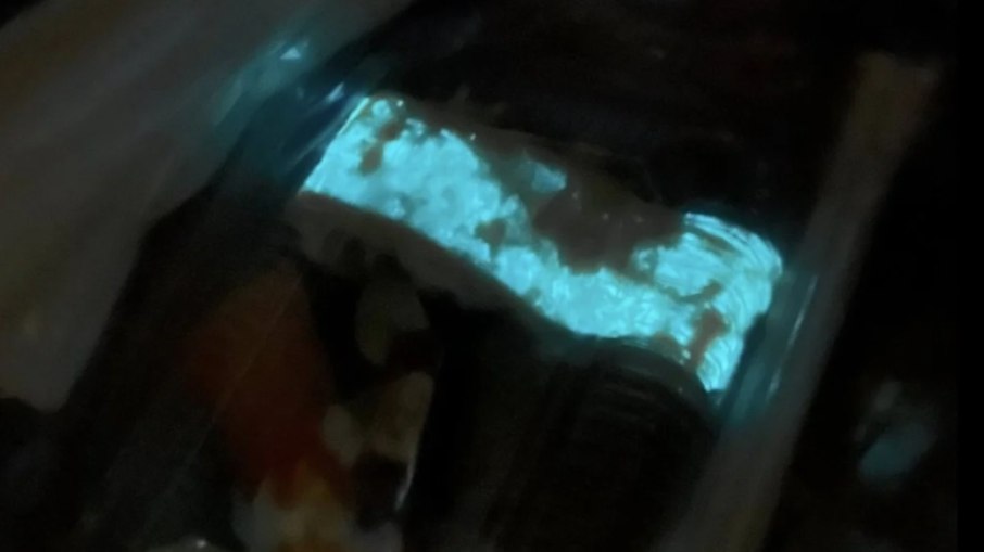 RADIOATIVA?: Sushi que brilha no escuro causa pânico e alerta na Tailândia