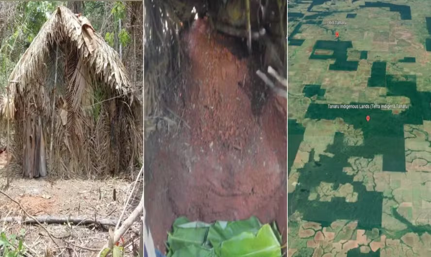 PATRIMÔNIO: Descoberta na TI Tanaru revela complexo arqueológico milenar em Rondônia