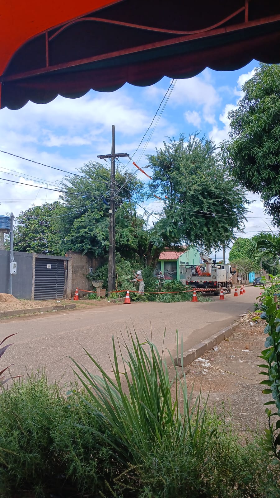 GEDEÃO NEGREIROS: Vereador solicita poda emergencial de árvore na rua Vila Isabel em PVH
