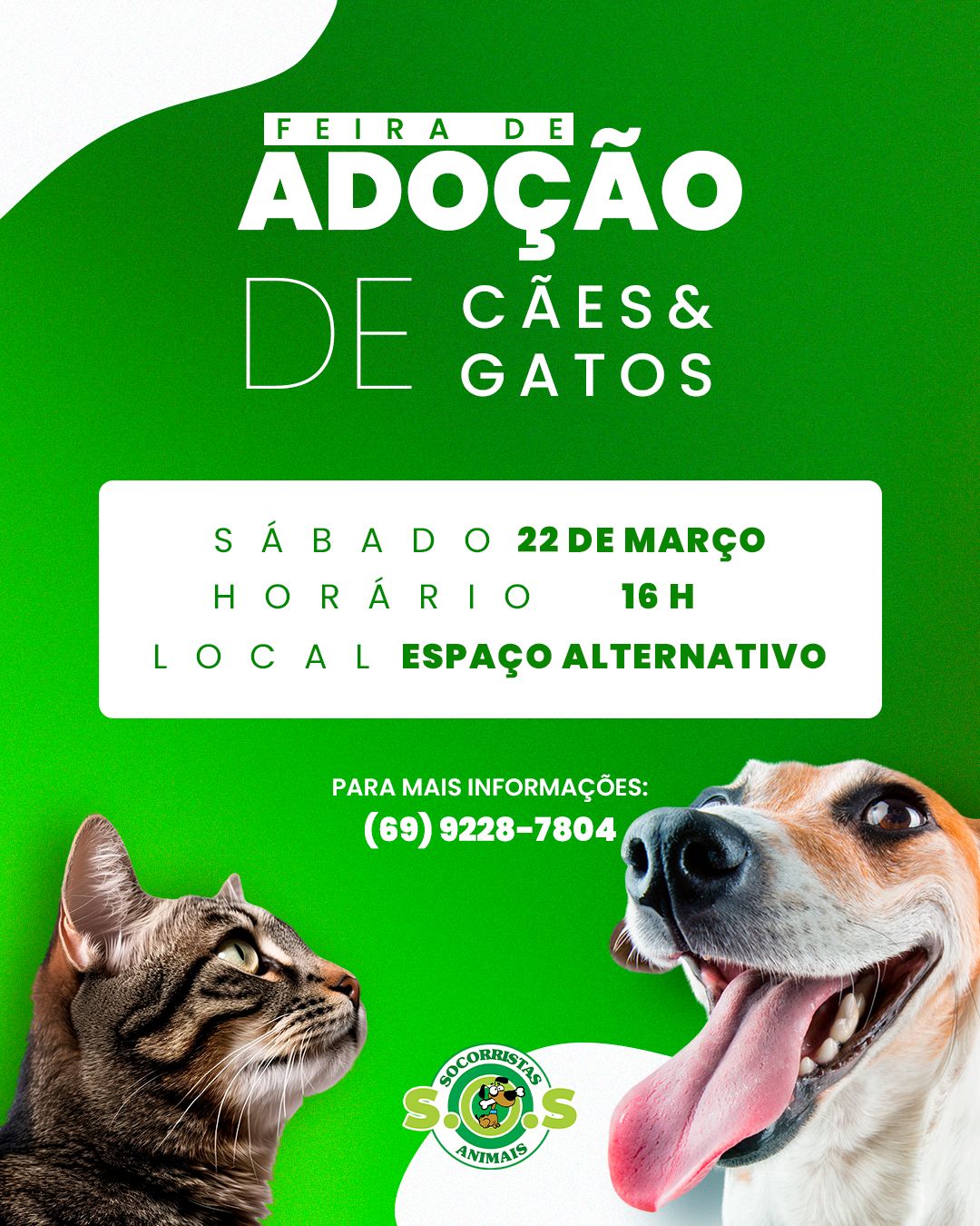CÃES E GATOS: Feira de adoção acontece hoje (22) no Espaço Alternativo de PVH