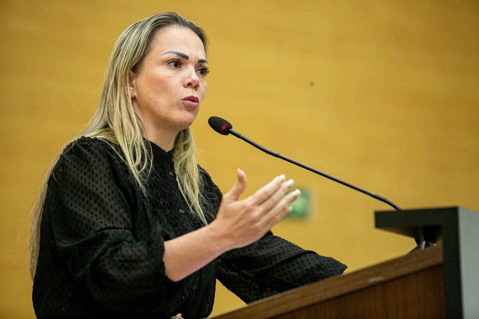 CLAÚDIA DE JESUS: Nova lei sancionada por Lula valoriza servidores, afirma deputada