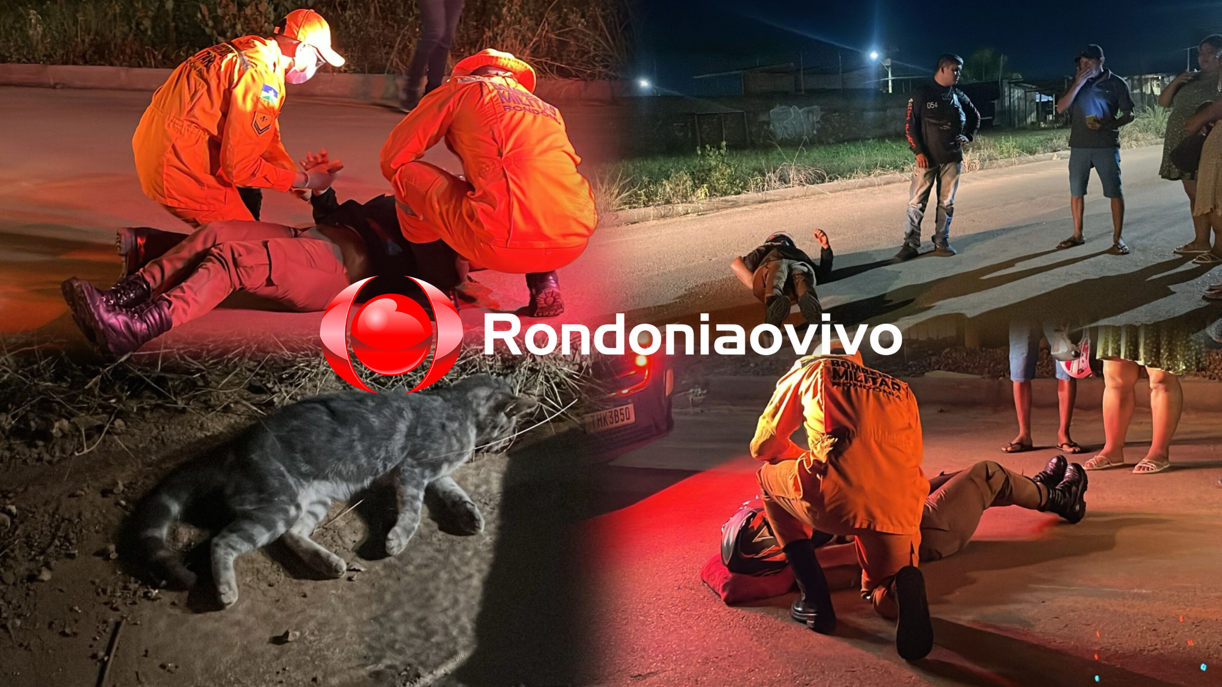 ENTROU NA FRENTE: Vigilante fica ferida após atropelar e matar gato na Caúla