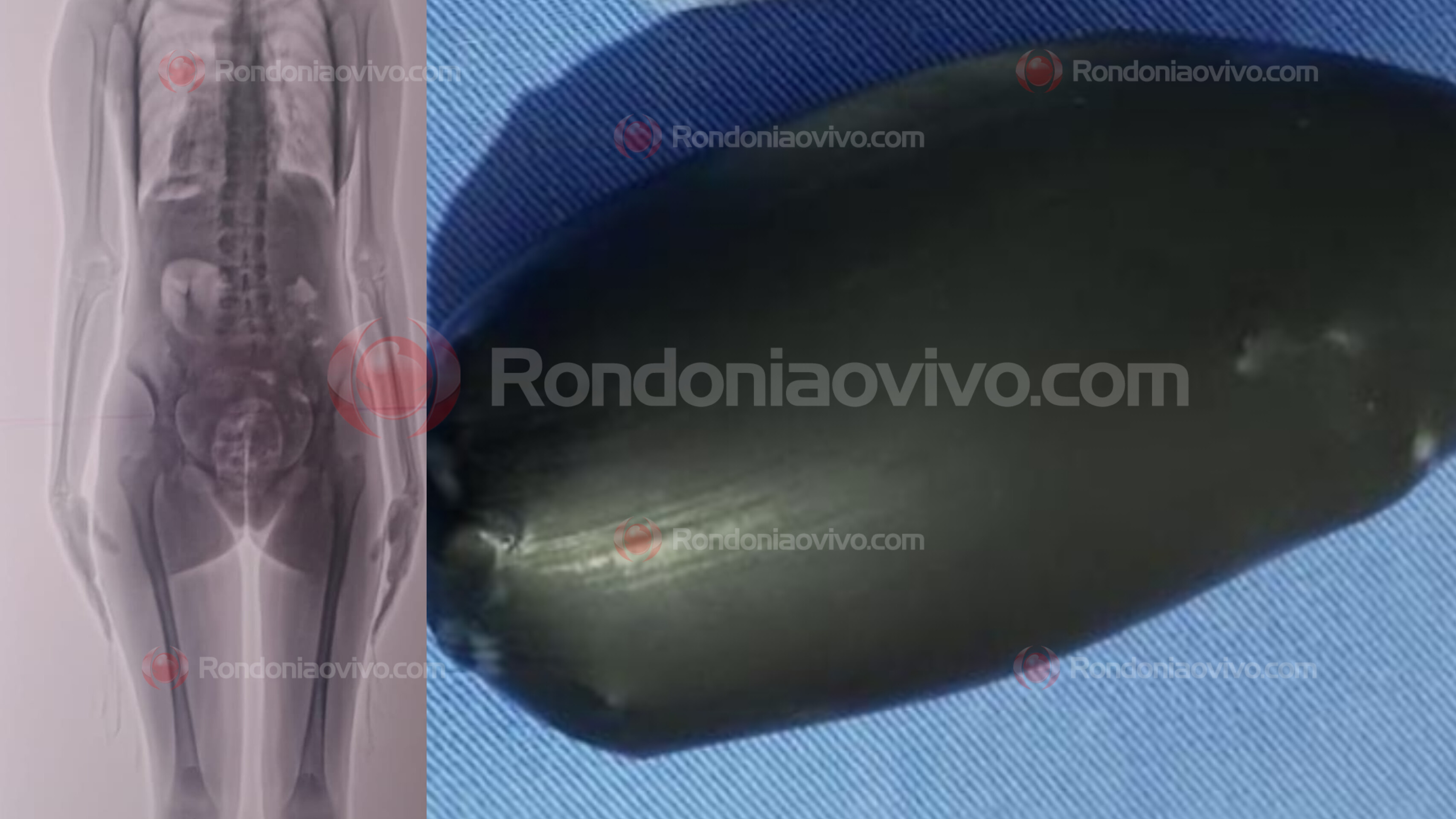 NO 603: Jovem é presa levando grande porção de droga nas partes íntimas para amigo