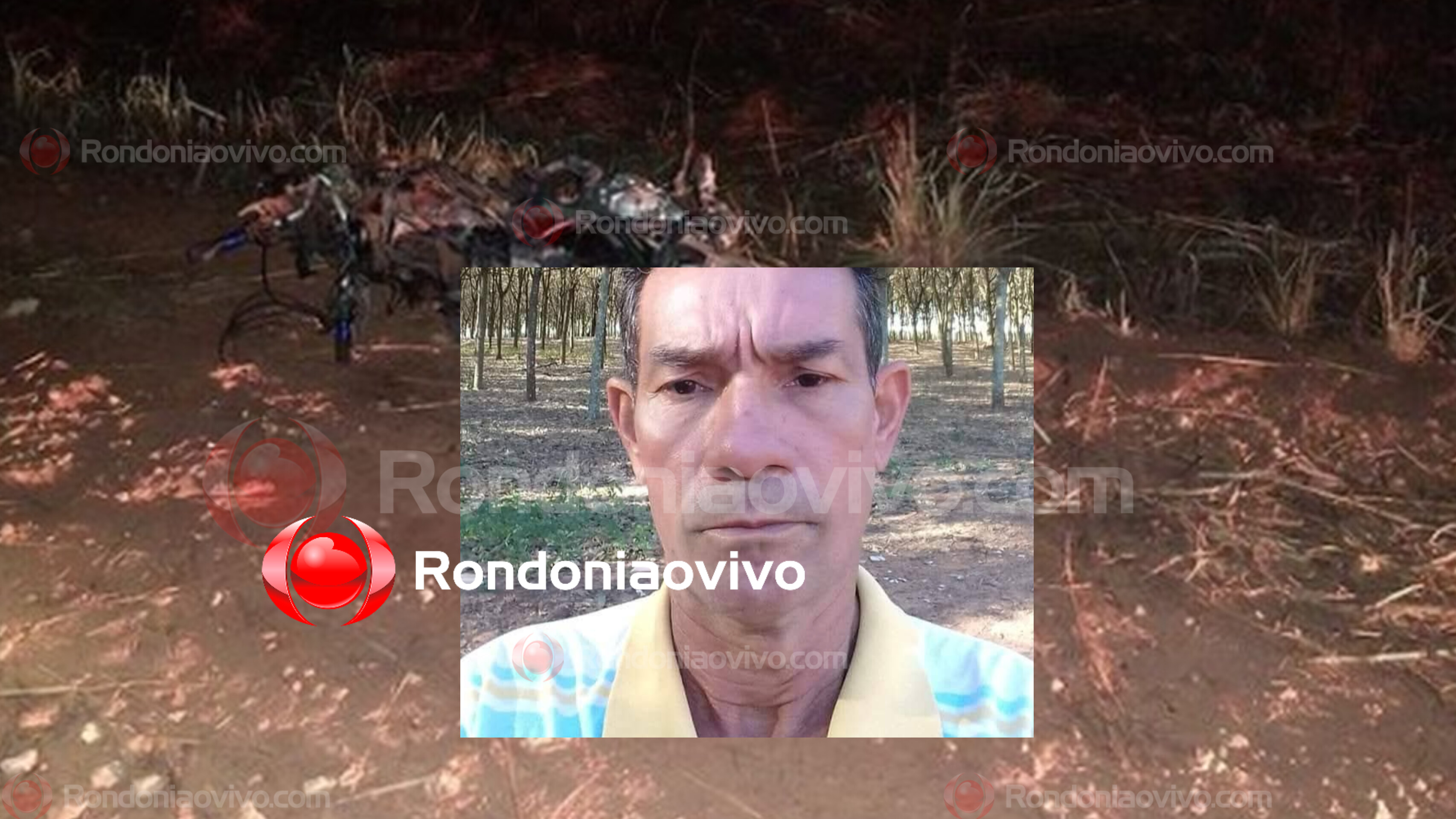 NA BR-319: Mais um motociclista morre após bater contra árvore 