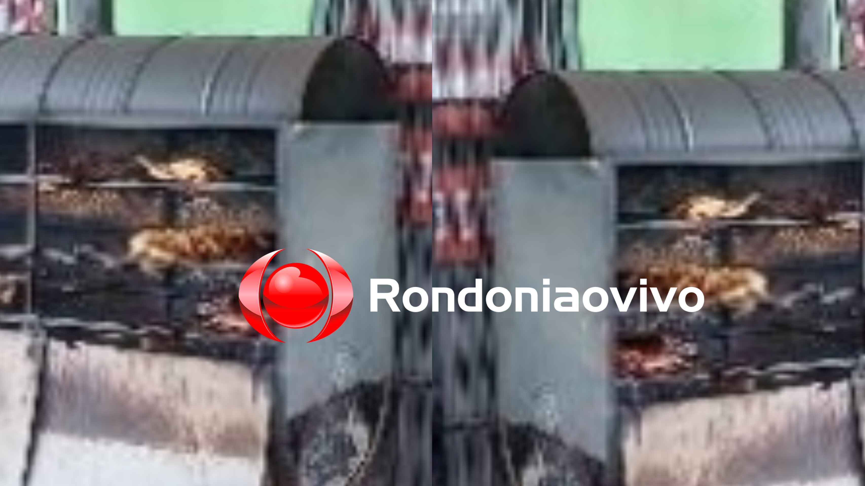 NA CHURRASCARIA: Servidor público é alvo de tentativa de homicídio ao exigir carne quente