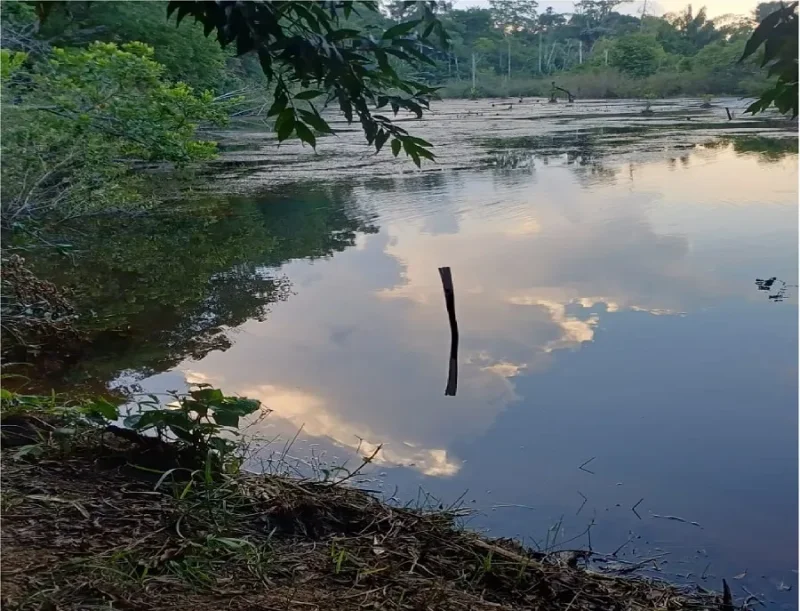 TRÁGICO: Criança de dois anos morre após se afogar em represa