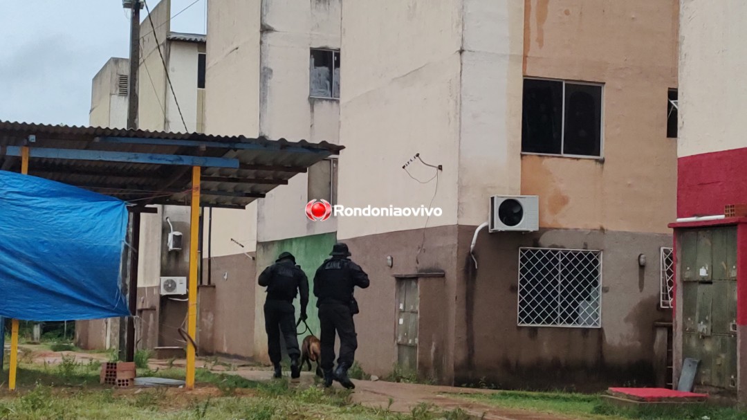 ASSISTA: Megaoperação das forças policiais em condomínios