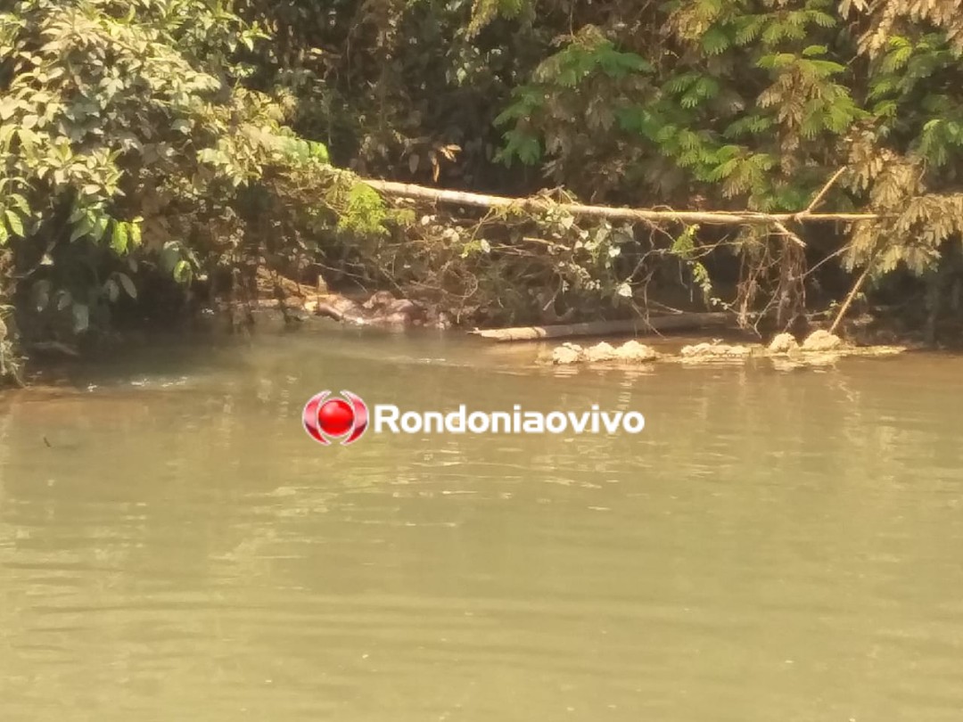 ANEL VIÁRIO: Polícia tenta identificar corpo através de tatuagens com nomes no braço e costas 