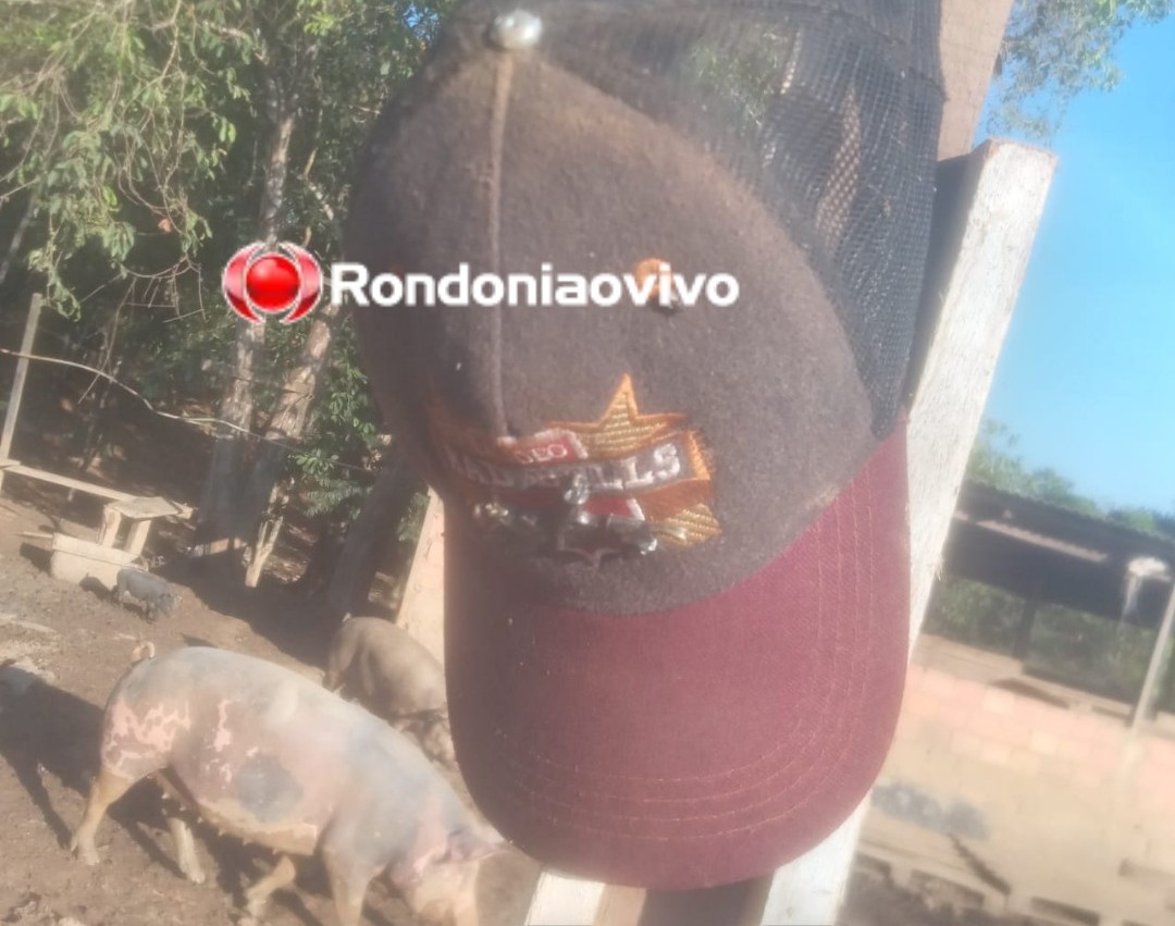 PORCOS E GALINHAS: Bandidos em caminhão rendem caseiro e fazem arrastão em chácara