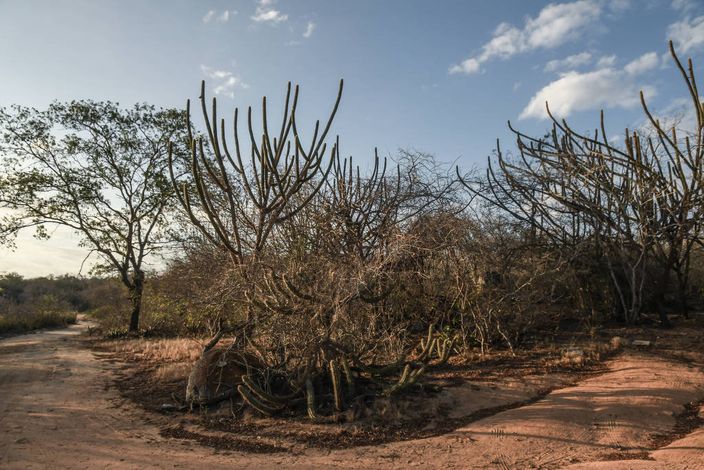 FOMENTO: Lei Rouanet terá novo modelo para financiar desenvolvimento cultural de regiões