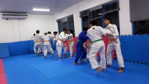 ESPORTE: Equipe de judô de Porto Velho se prepara para campeonato estadual