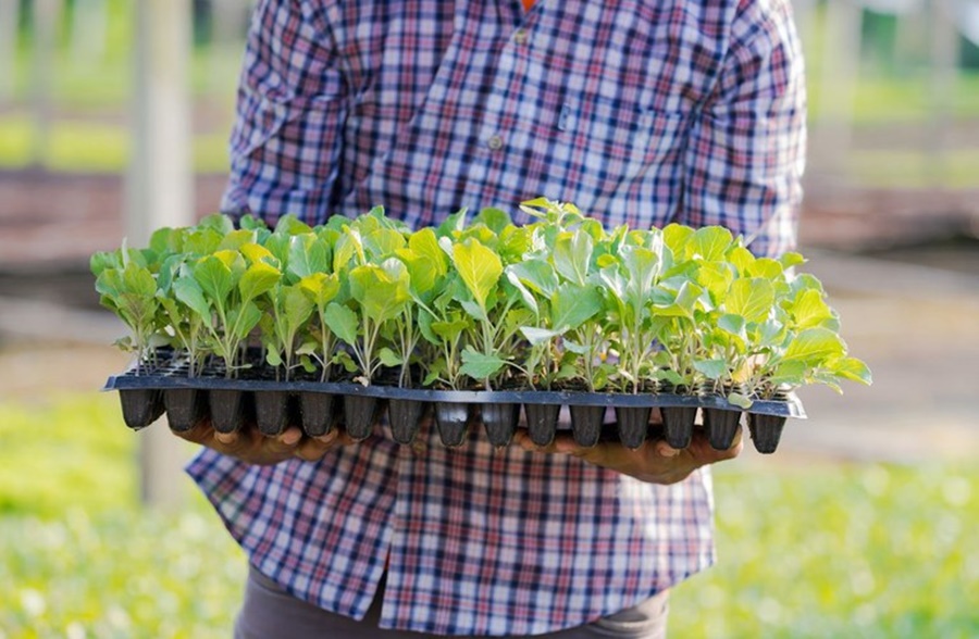 FAMILIAR: Mapa atualiza condições para inscrição no Cadastro da Agricultura