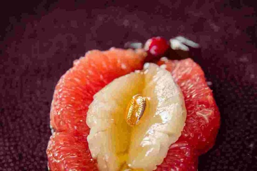 SENSÍVEL: Clitóris contém mais de 10 mil terminações nervosas, revela estudo