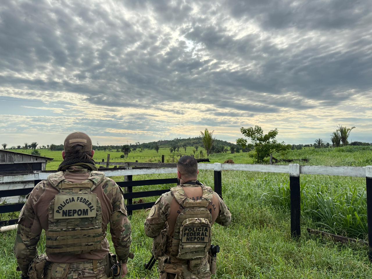 LAGE EM CHAMAS: PF faz operação contra grilagem e incêndio criminoso em terra indígena