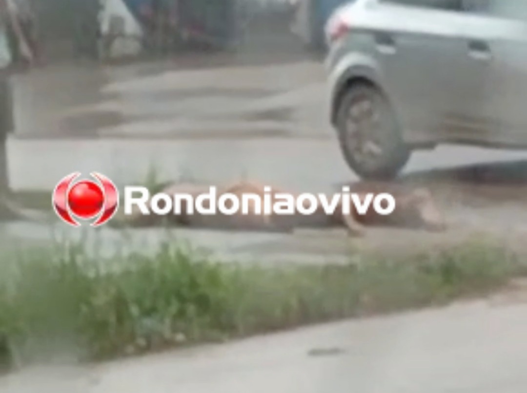 PAROU NO JPII: População espanca suspeito de roubo de motocicleta