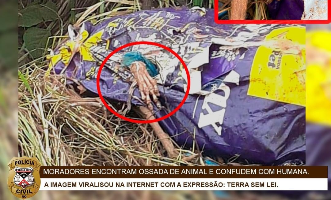 ALARME FALSO: Cadáver jogado nas margens de rua não é de humano, diz polícia