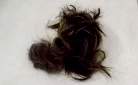 TORTURA: Mulher é agredida e tem cabelo cortado com faca pelo ex-marido