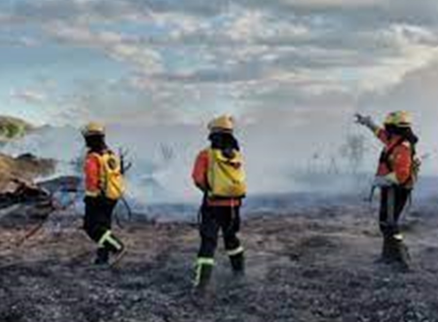 RIO GRANDE DO NORTE: Concurso público do Corpo de Bombeiros paga salário de até R$ 10,8 mil