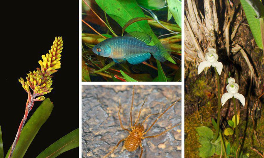 NATUREZA: Áreas de conservação de espécies somam 62 milhões de hectares no país