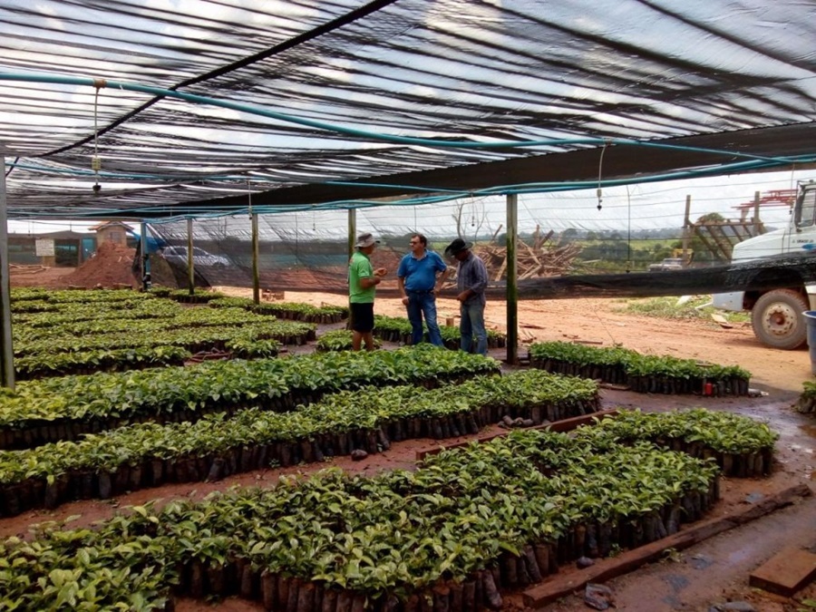 AGRICULTORES: Lei oferece chance de renegociar débitos do FNO