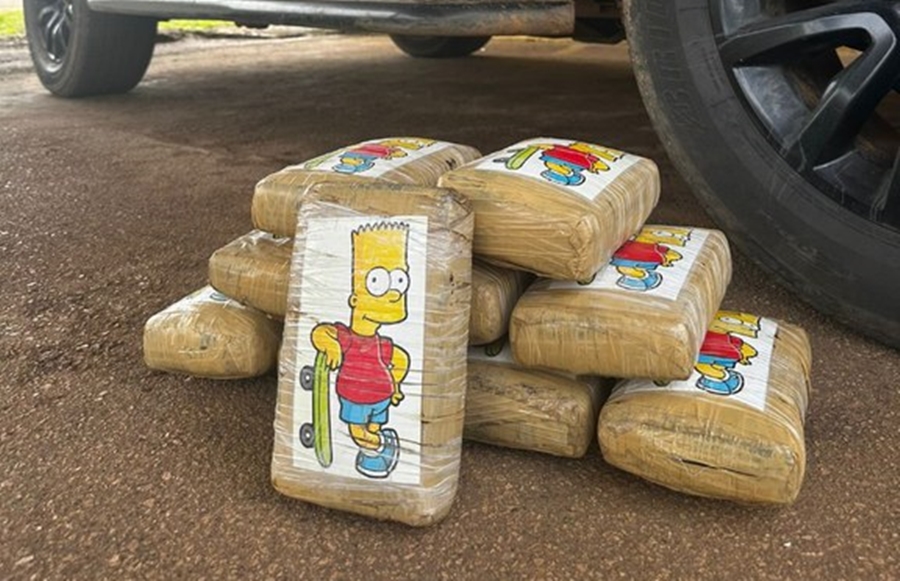 TRÁFICO: Polícia Rodoviária Federal apreende quase 11 kg de skunk