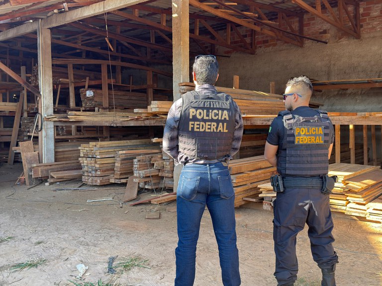 OPERAÇÃO BENEBOLENTIA: PF deflagra operação contra extração ilegal de madeira em Terras Indígenas