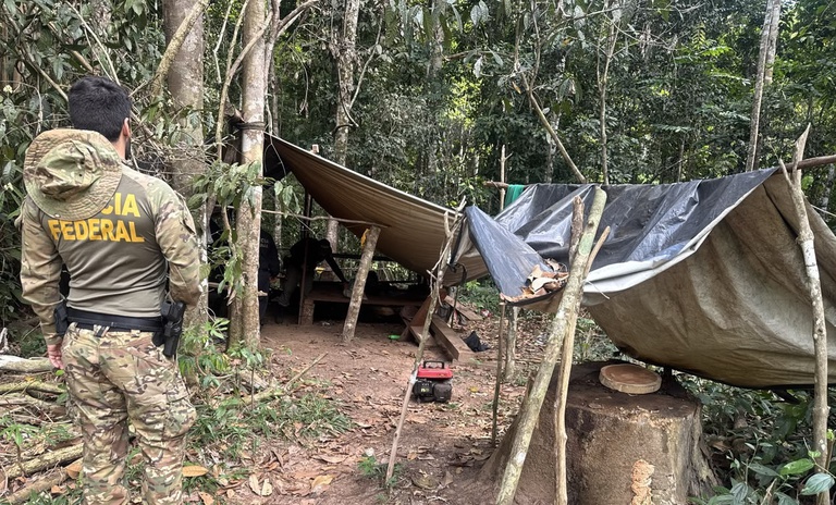 AÇÃO: PF combate extração ilegal de madeira em terra indígena