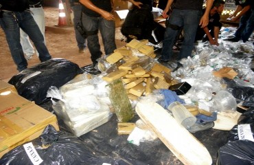 DENARC incinera quase meia tonelada de drogas na capital
