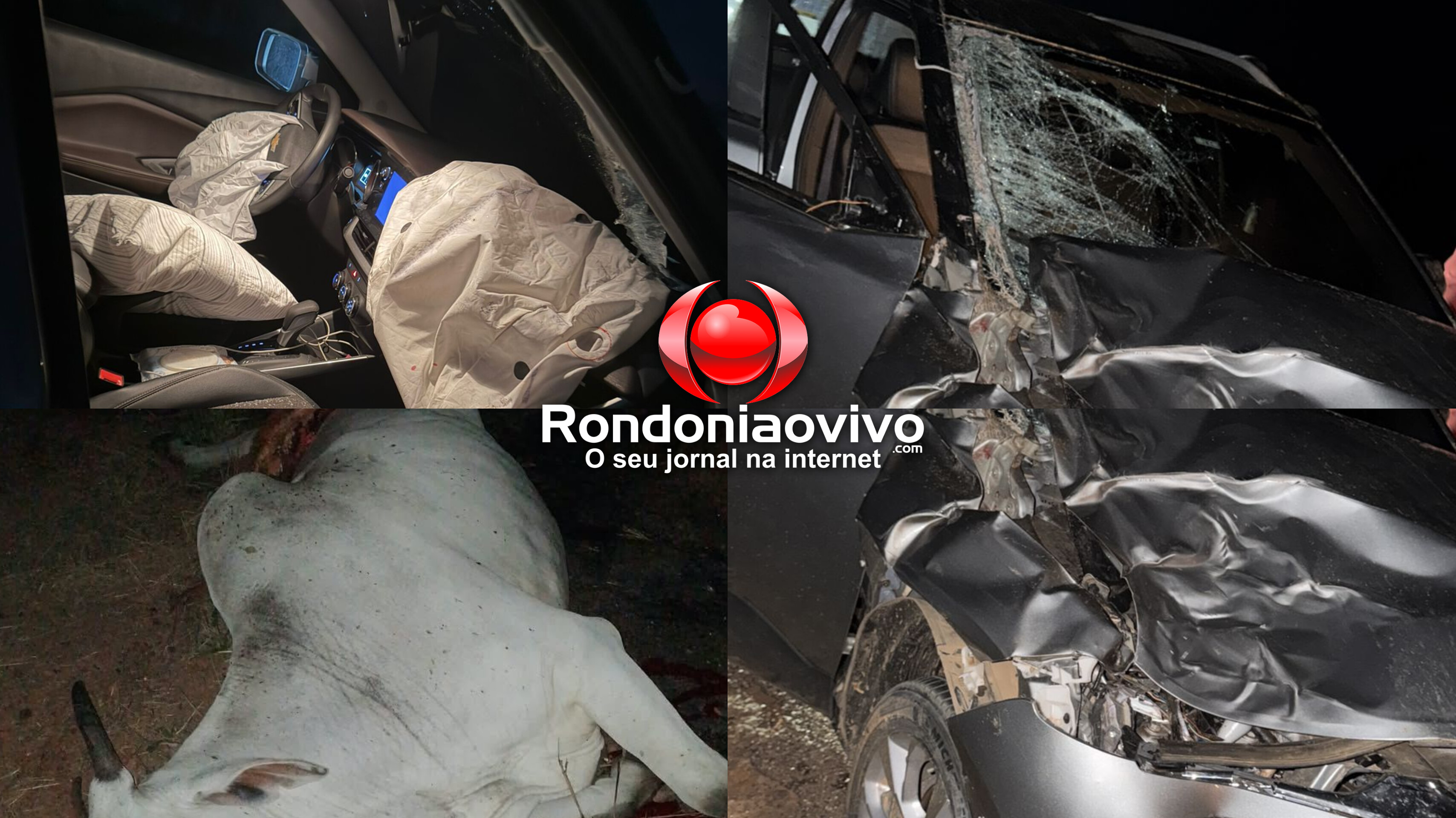 APÓS FESTA DO LEITE: Candidato a deputado se envolve em acidente; carro atropelou vaca