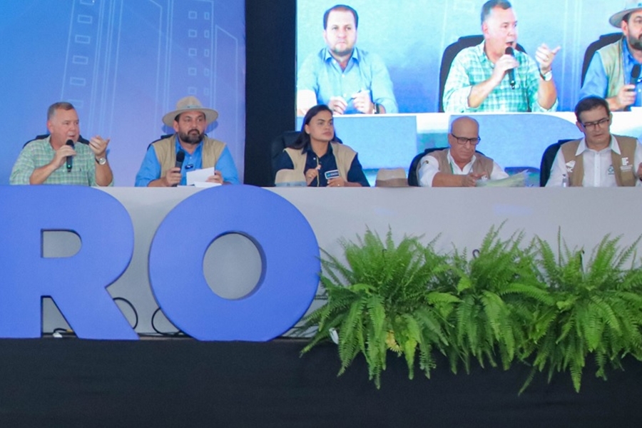 TAÍSSA SOUSA: Deputada destaca requerimento para viabilização de mutirão do CAR durante RRSI