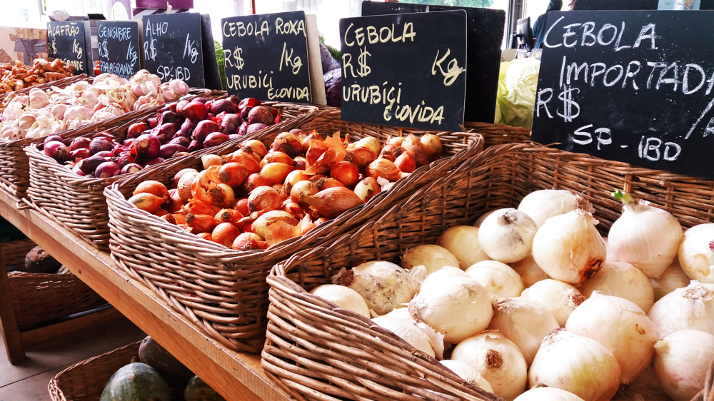 TEMPERATURA ELEVADA: Boletim da Conab mostra queda de preços da cebola e anima consumidores