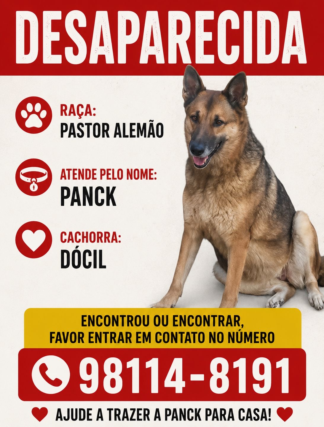 AU AU: Família pede ajuda para encontrar pastor alemão desaparecida em Porto Velho
