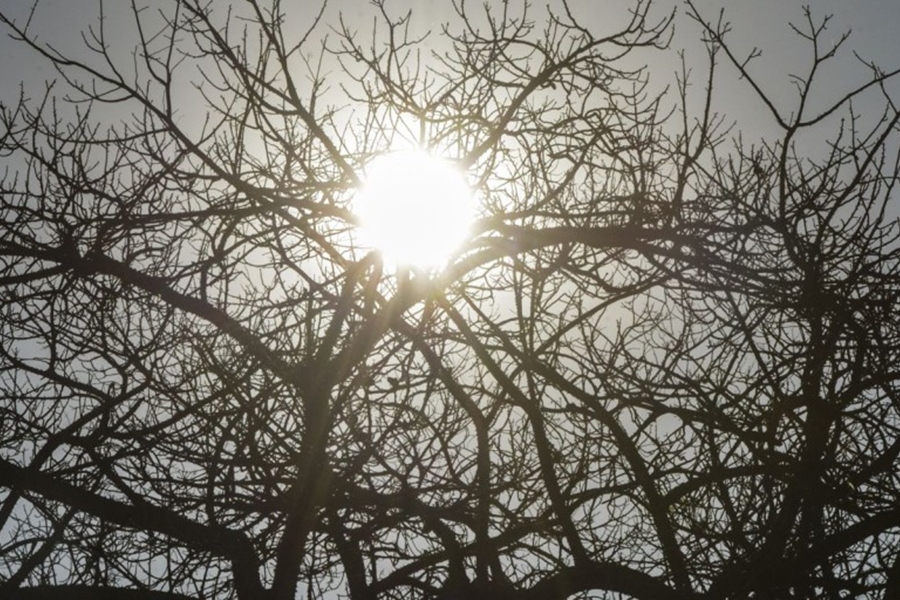 CUIDADO: Umidade fica entre 20 a 30% em RO na terça (23), incluindo S. F. do Guaporé