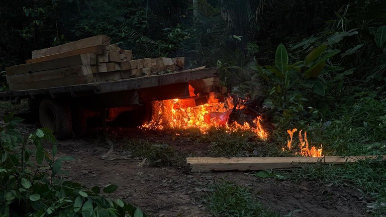 PERSEVERARE: PF combate crimes ambientais na TI Igarapé Lage