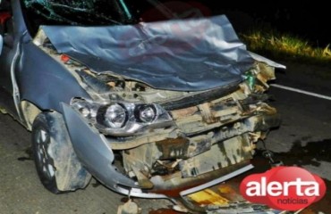 ARIQUEMES - Animal na pista causa grave acidente na BR-421