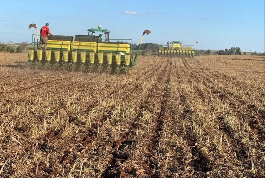 HORA: Clima favorável ao plantio contribui com avanço da semeadura de soja
