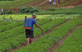 Concedida indenização por danos morais e materiais a agricultor contaminado