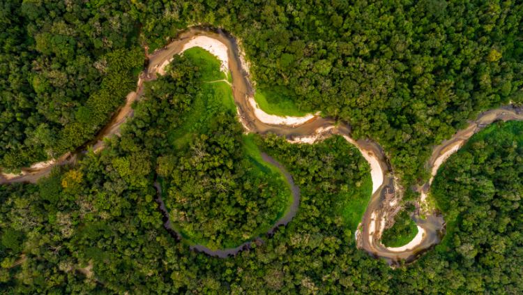 UNIR: Mestrado em História da Amazônia oferece 24 vagas; inscrições abertas