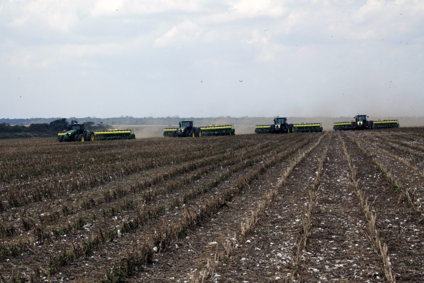 FERRUGEM: Vazio sanitário da soja vai ocorrer de forma regionalizada em RO