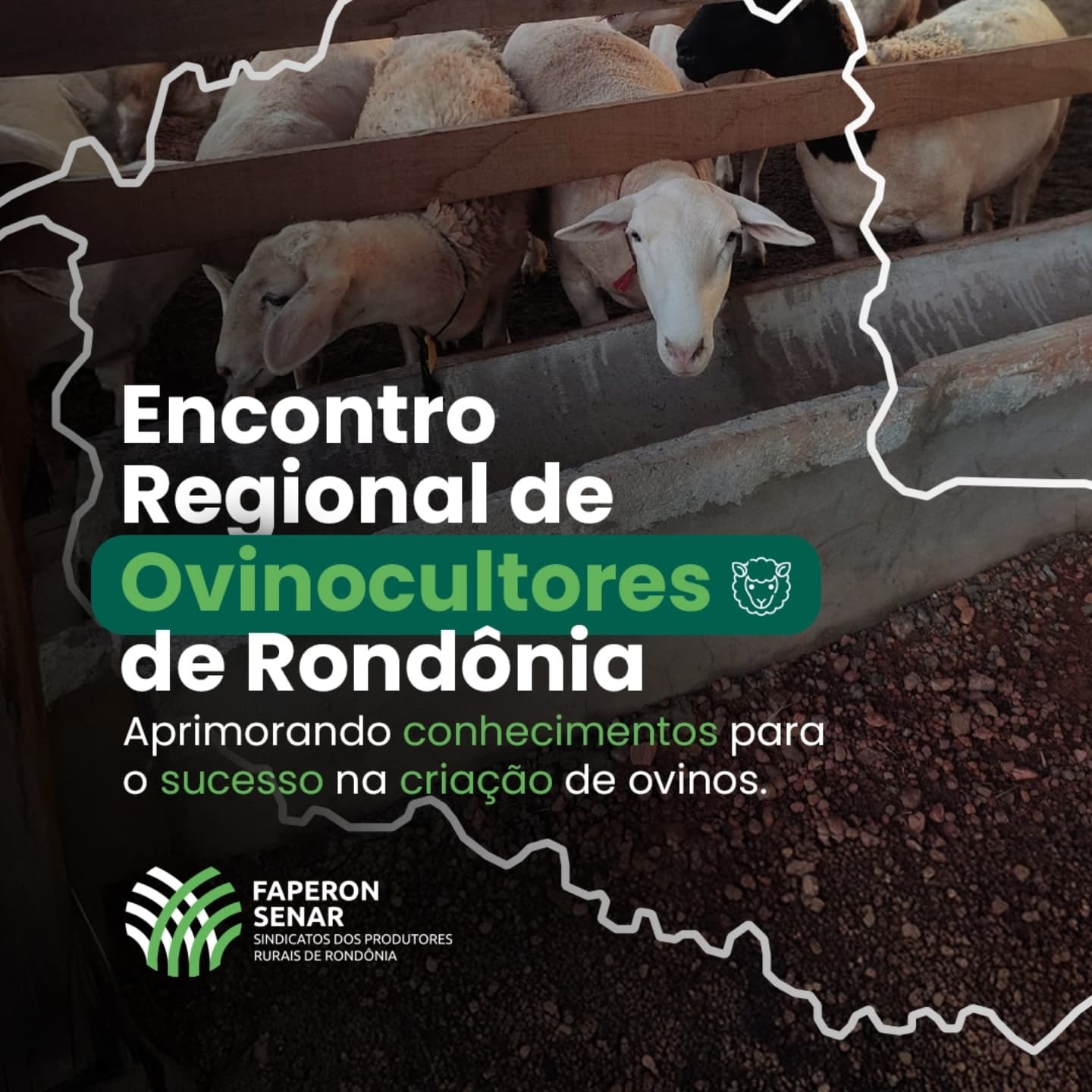 CAPACITAÇÃO: Sistema FAPERON promove 1º Encontro Regional de Ovinocultores em RO