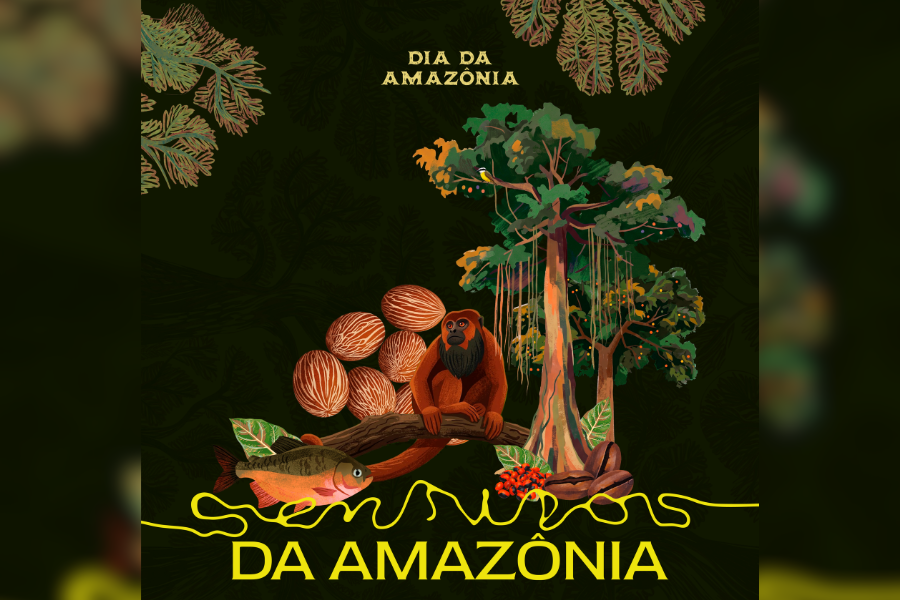 EM PORTO VELHO: Ecoporé promove experiência sensorial e adoção de mudas no Dia da Amazônia