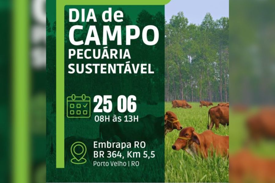 AGROPECUÁRIA: Dia de Campo apresenta soluções para uma pecuária mais produtiva e sustentável