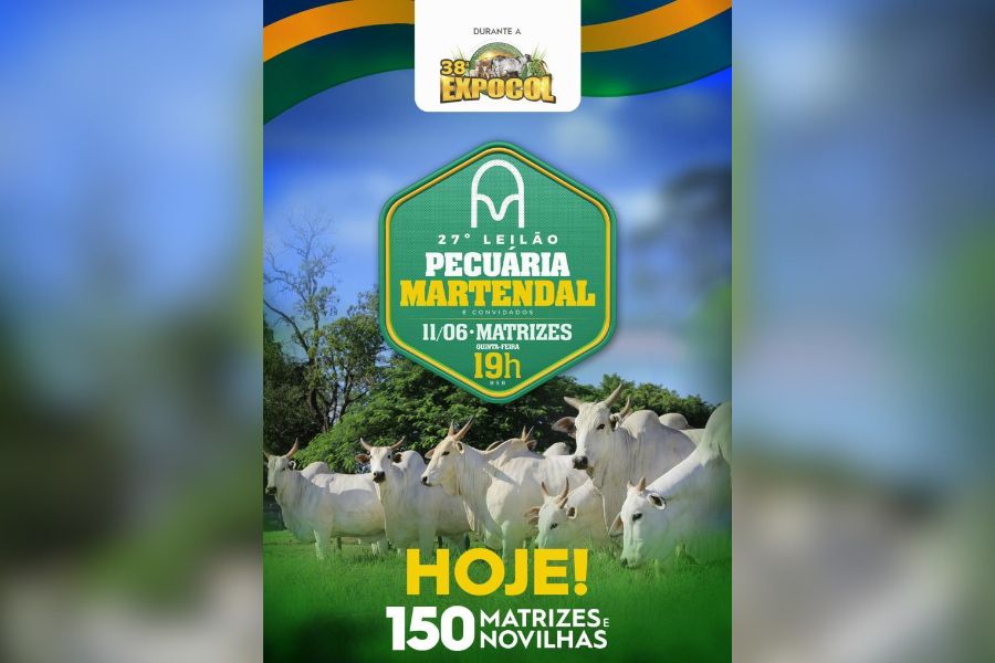 É HOJE (11): Pecuária Martendal realiza tradicional leilão nesta noite durante a 38ª Expocol
