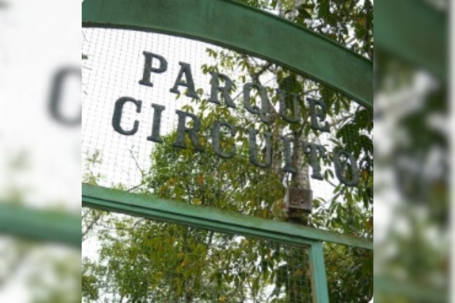 PARQUE CIRCUITO: Presença de animais silvestres indica preservação da natureza