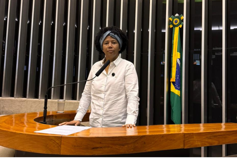 SÍLVIA CRISTINA: Deputada cobra mais uma vez a votação da PEC 47 da transposição