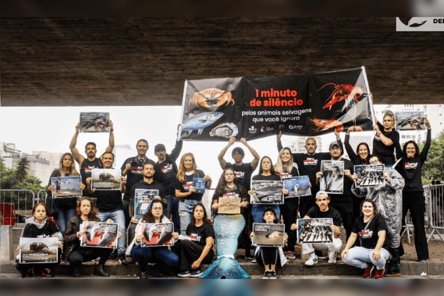 EM TODO O BRASIL: Fórum Animal convida novos voluntários para fortalecer a defesa dos animais 